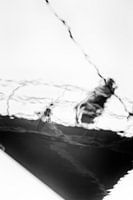 Yacht reflection in water. Water sports in black and white.