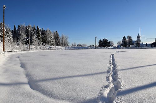 Le terrain des loisirs en hiver