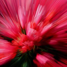 Éclaboussures florales tulipes magenta sur Olaf Kramer