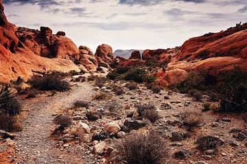 Red Rock Canyon van Walljar