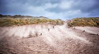 10 Beaufort Sturm von Fotografie Egmond Miniaturansicht