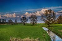 Sloot in uiterwaard
