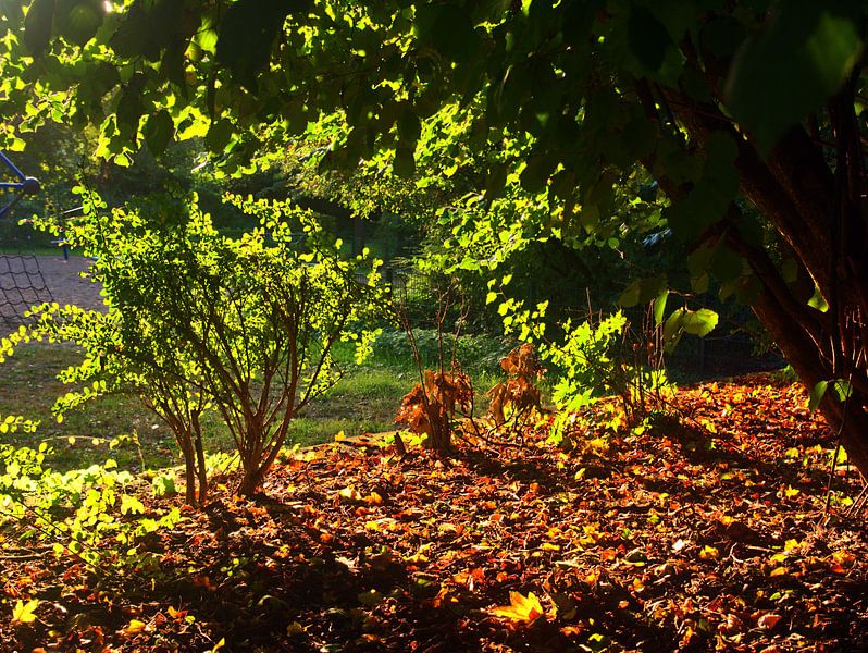 herfstlicht van Edgar Schermaul