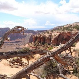 Canyonlands National Park Utah van Ricky Smeets