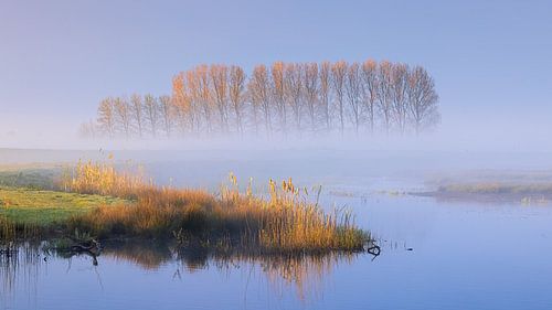 Sunrise in Tusschenwater