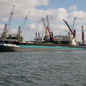 Ships and transhipment in the busy Waalhaven by scheepskijkerhavenfotografie