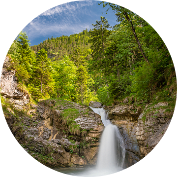 Koe ontsnapt watervallen