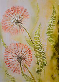 Blaasbloemen & Varens