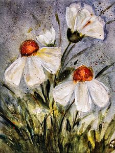 Margeriten