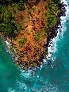 Coconut Tree Hill by Dennis Van Wieren