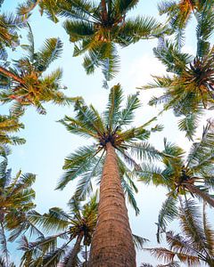Palmbomen op Bali verticale foto
