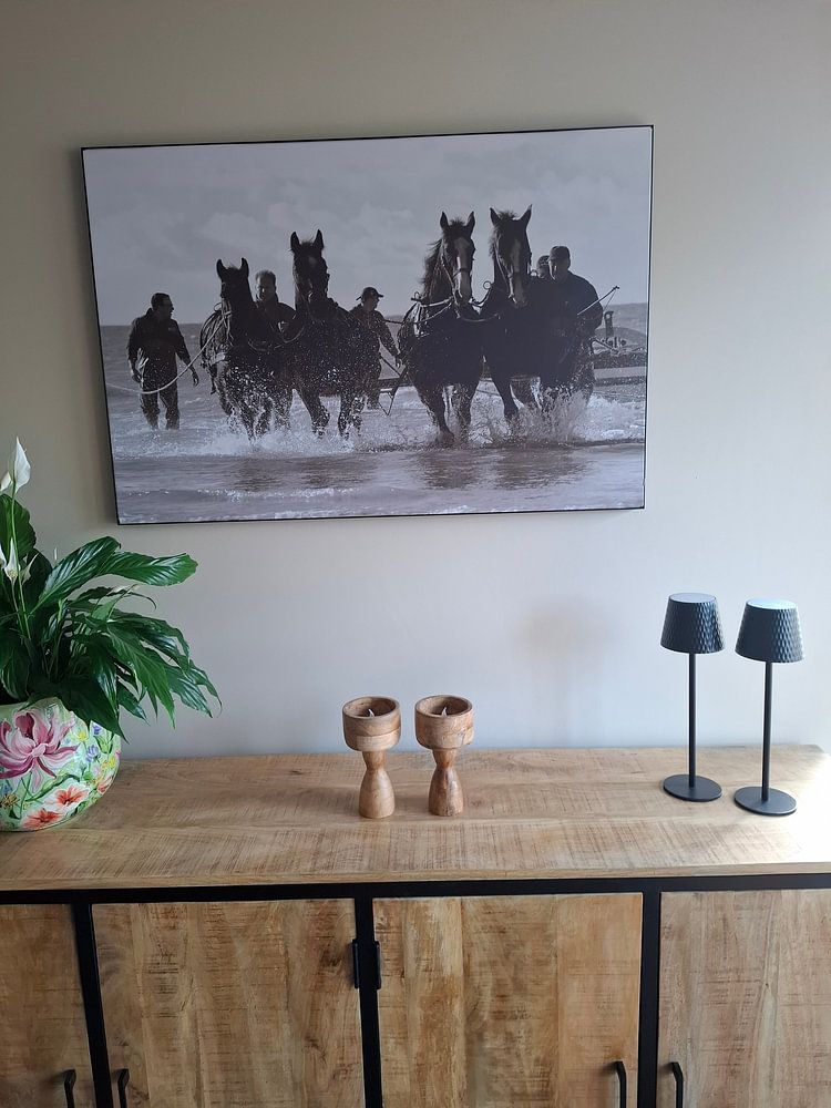 Paardenreddingsboot  van Rinnie Wijnstra (FotoAmeland ) 