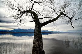 blue Mountain von artpictures.de