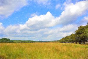 Grassland