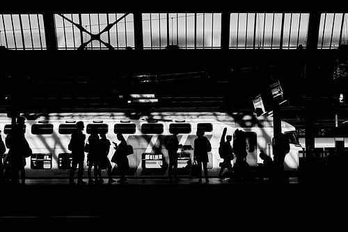 Silhouettes de plate-forme 8