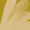 Heller Himmel - Workshop von YOPIE