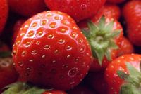 de zoete smaak van aardbeien