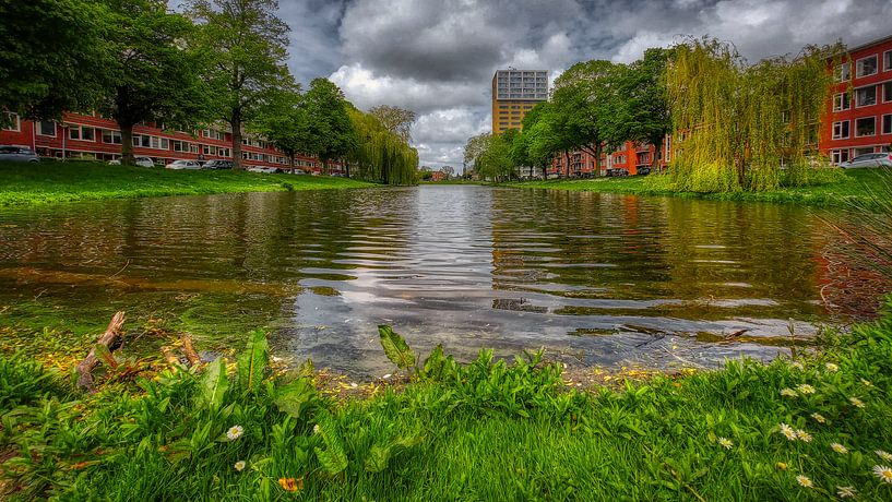 Springtime in Groningen by Harry Stok