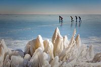 Ice flowers