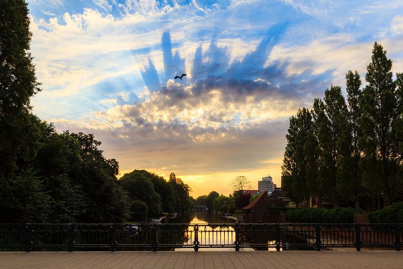 Reiger zonsopkomst Amsterdam van Dennis van de Water