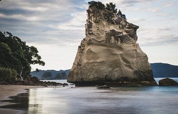 Cathedral Cove Te Whanganui-A-Hei Nieuw-Zeeland van Tom in 't Veld