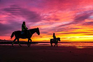 Zon, zee en strand en paarden. von Dirk van Egmond