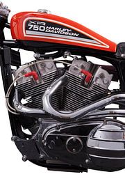 Harley-Davidson XR-750 van Michelle Peeters