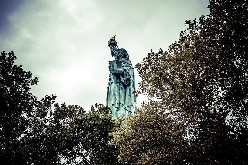 La splendeur cachée de la Liberté : un point de vue unique sur la Statue de la Liberté à New York 10 par FotoDennis.com | Werk op de Muur