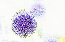 blaue Kugeldistel mixed media von Werner Lehmann