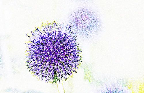 blauwe distel gemengde techniek