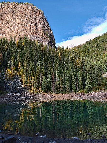 Mirror Lake with Beehive by Timon Schneider