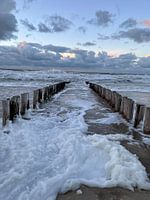 North Sea foam in the evening sun