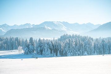 Winteruitzicht op de Allgäuer Alpen van Leo Schindzielorz