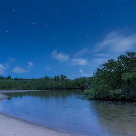 Franse Pas by Night von Meliza  Lopez