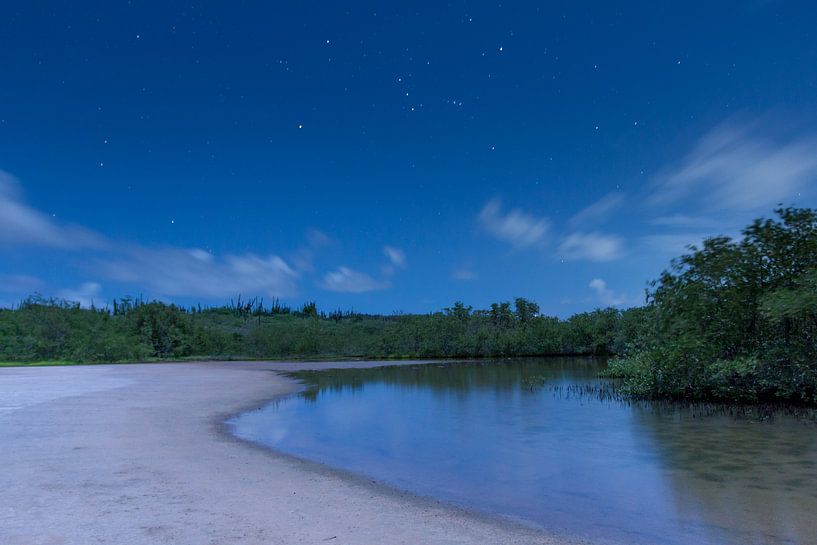 Franse Pas by Night van Meliza  Lopez