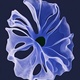 Blues & Hues photo de profil