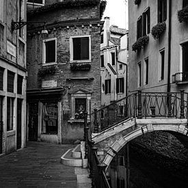 Early morning in venice by Mike Peek