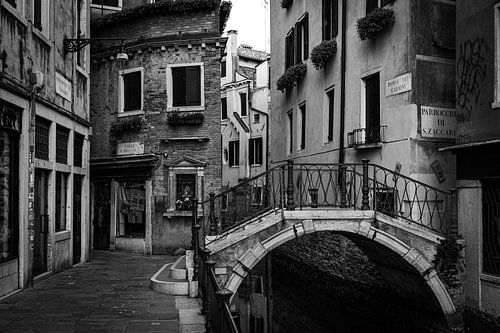 Tôt le matin à Venise sur Mike Peek