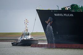 Schlepper Peter Wessels mit Marvel Pelican von Jan Georg Meijer