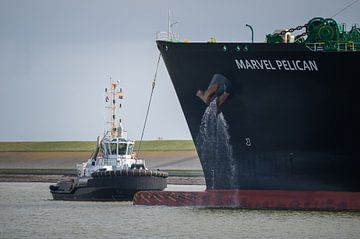 Sleepboot Peter Wessels met Marvel Pelican van Jan Georg Meijer