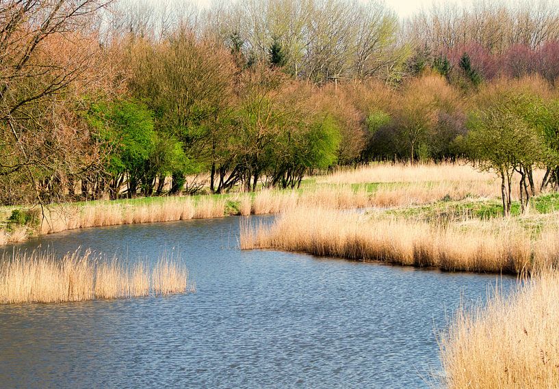 Mooi Landschap by Jan van der Schans
