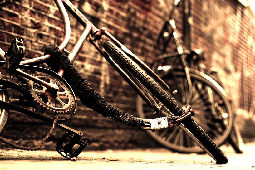 Sepia fietsen in binnenstad van Heleen van de Ven