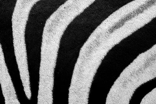 Zebrahuid patroon zwart wit