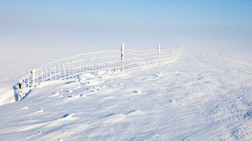 Koud, sneeuw en mist van Peter Korevaar