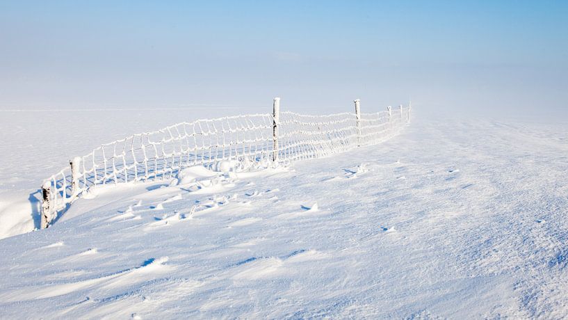 Koud, sneeuw en mist van Peter Korevaar