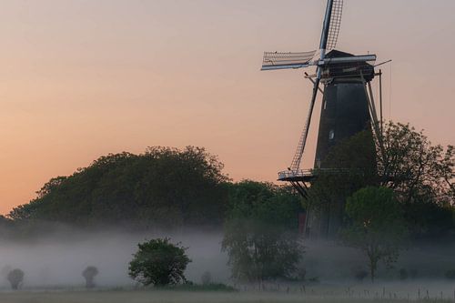 mill in the mist