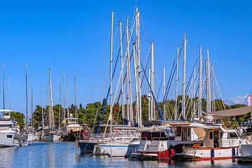 Kroatië : Eiland Ugljan - Preko van Michael Nägele