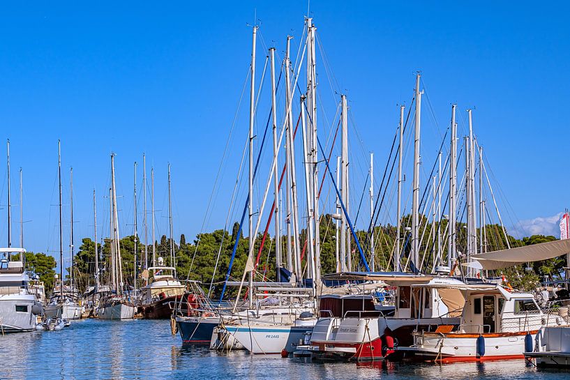 Kroatië : Eiland Ugljan - Preko van Photoart-Naegele