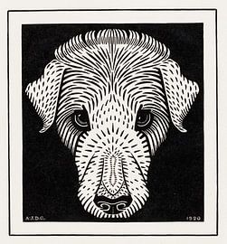Julie de Graag – „Dog'’s Head“ (1920) von Timeless Artworks