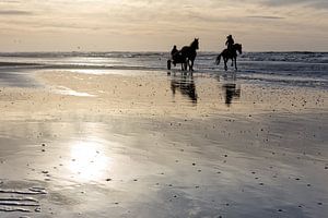 Paarden op het strand tijdens een zonsondergang van eric van der eijk